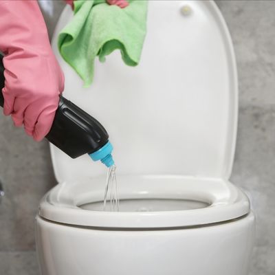 Toilet Cleaners & Descalers