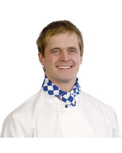 Large blue check neckerchief